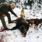 De la chasse à la table : Comment préparer et cuisiner des animaux en situation de survie